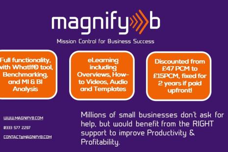MagnifyB Early Adopter