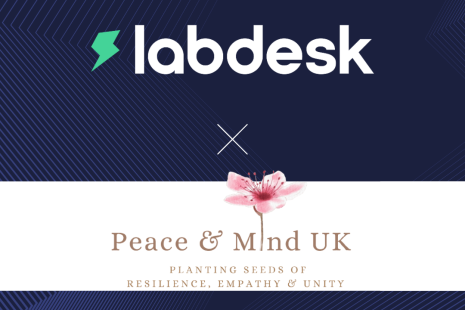 Labdesk Peace of Mind