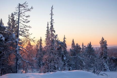 Lapland1