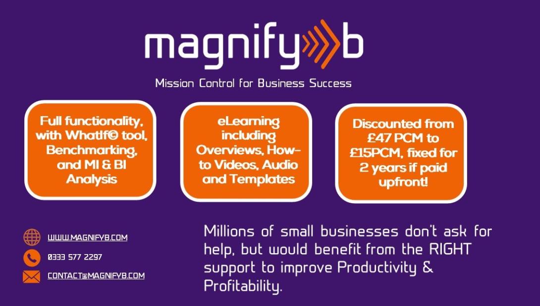 MagnifyB Early Adopter